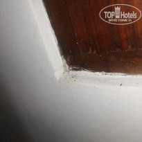 фото из отзыва ID 2337444