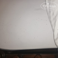 фото из отзыва ID 2337444