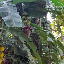 фото из отзыва ID 2337461