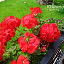 фото из отзыва ID 2337568