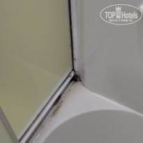 фото из отзыва ID 2337668