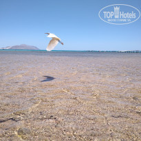 фото из отзыва ID 2337718