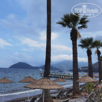 фото из отзыва ID 2337740