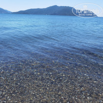 фото из отзыва ID 2337740