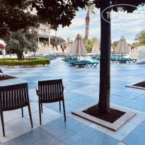 фото из отзыва ID 2337751