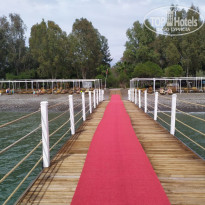 фото из отзыва ID 2337760