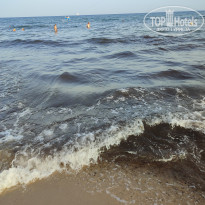 фото из отзыва ID 2337813