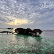 фото из отзыва ID 2337837