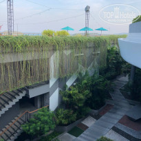 фото из отзыва ID 2337950