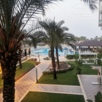 фото из отзыва ID 2338134