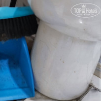 фото из отзыва ID 2338294