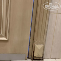 фото из отзыва ID 2338303