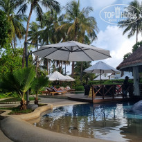 фото из отзыва ID 2338320