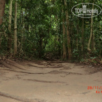 фото из отзыва ID 2338368