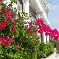 фото из отзыва ID 2338546