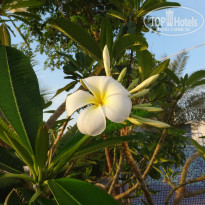 фото из отзыва ID 2338546