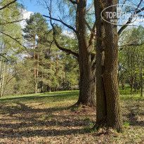 фото из отзыва ID 2338552