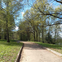 фото из отзыва ID 2338552