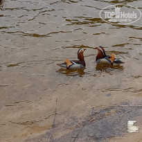 фото из отзыва ID 2338552