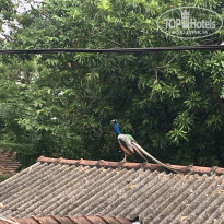 фото из отзыва ID 2338678