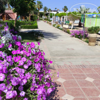 фото из отзыва ID 2338711