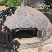 фото из отзыва ID 2338053