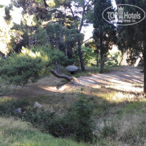 фото из отзыва ID 2338053