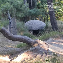 фото из отзыва ID 2338053