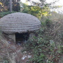 фото из отзыва ID 2338053