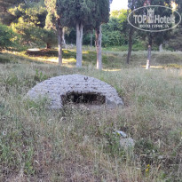 фото из отзыва ID 2338053