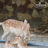 фото из отзыва ID 2338763