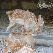 фото из отзыва ID 2338763