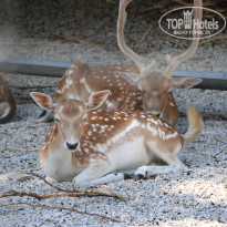 фото из отзыва ID 2338763