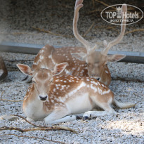 фото из отзыва ID 2338763