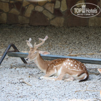 фото из отзыва ID 2338763