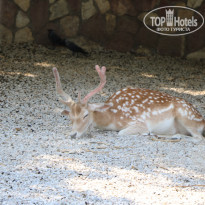 фото из отзыва ID 2338763