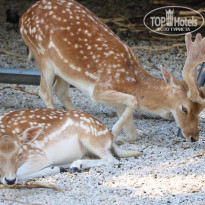 фото из отзыва ID 2338763