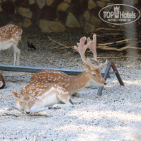 фото из отзыва ID 2338763