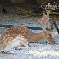 фото из отзыва ID 2338763