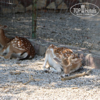 фото из отзыва ID 2338763