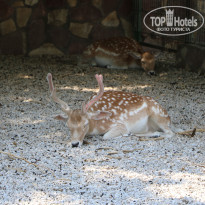 фото из отзыва ID 2338763