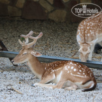 фото из отзыва ID 2338763