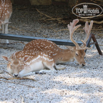 фото из отзыва ID 2338763