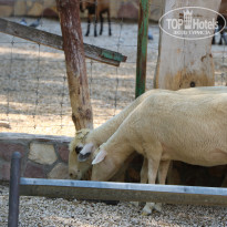 фото из отзыва ID 2338763