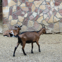 фото из отзыва ID 2338763