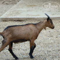 фото из отзыва ID 2338763