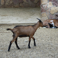 фото из отзыва ID 2338763