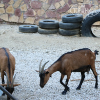 фото из отзыва ID 2338763