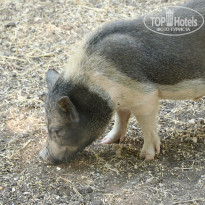 фото из отзыва ID 2338763