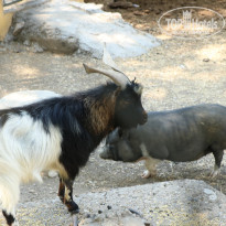 фото из отзыва ID 2338763